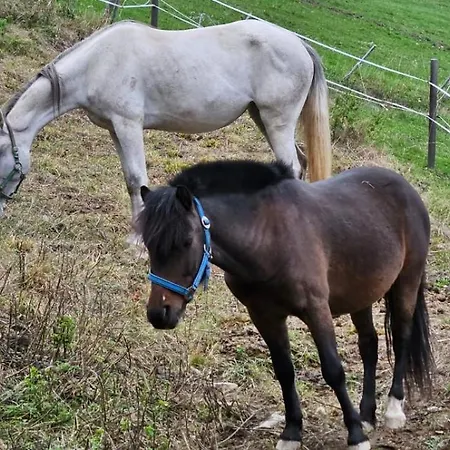 Apartman Bio-schafbauernhof-koelbel Grimmenstein